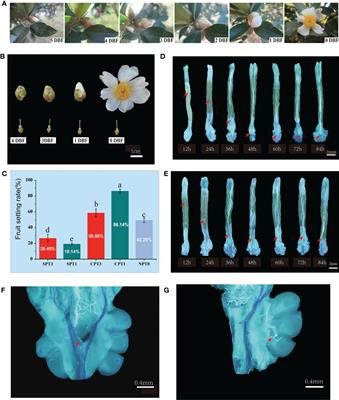 Gene coexpression analysis reveals key pathways and - Frontiers